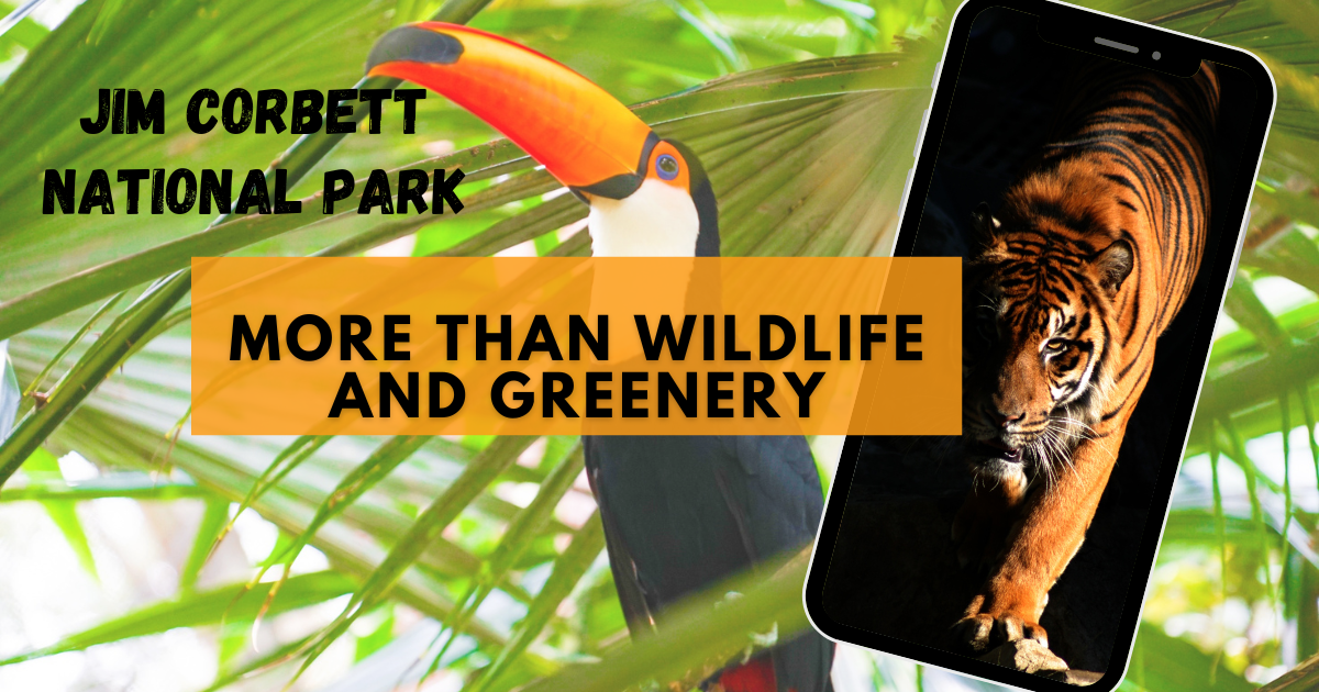 Jim Corbett national park